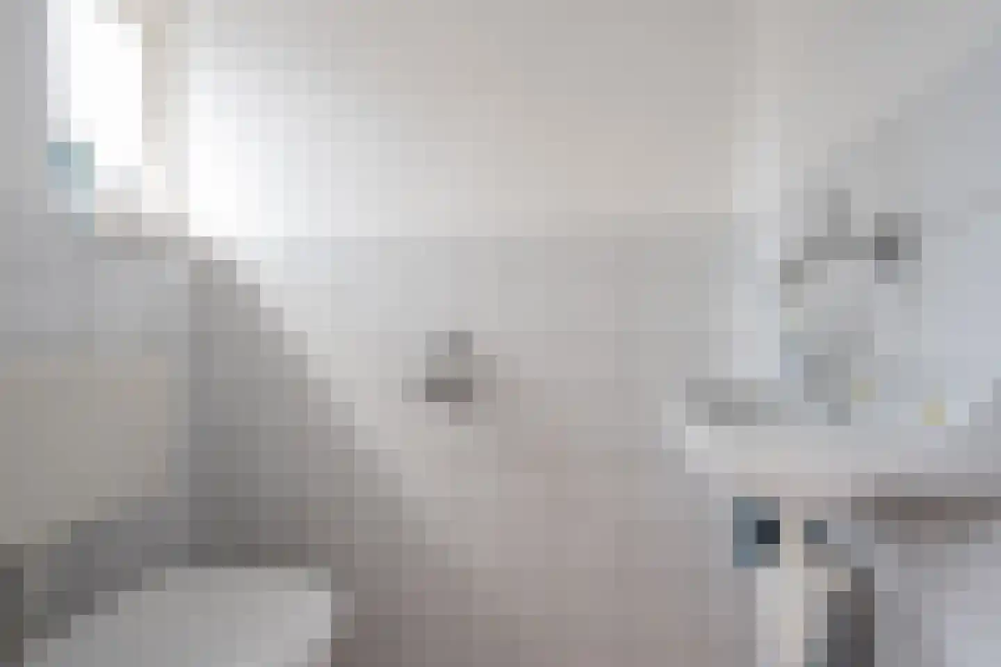 Veenakkers 23 Gieterveen thumbnail 11