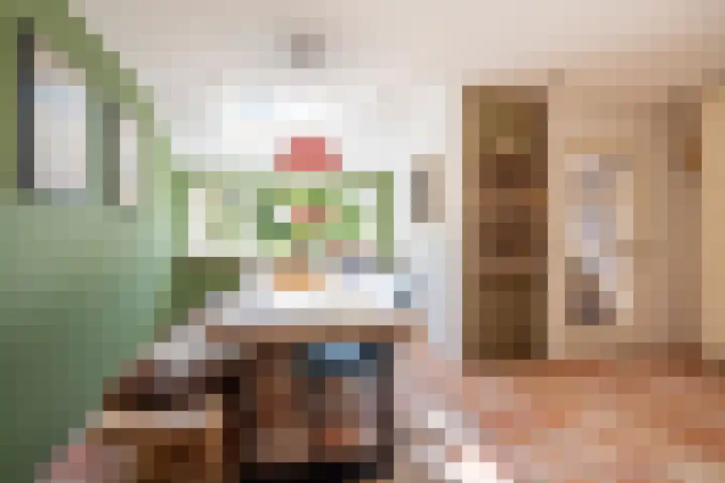 Veenakkers 23 Gieterveen thumbnail 12