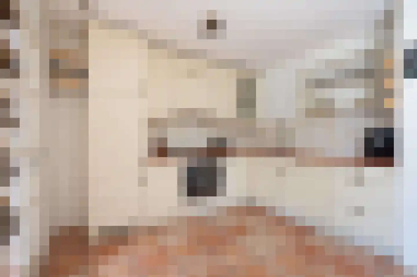 Veenakkers 23 Gieterveen thumbnail 13