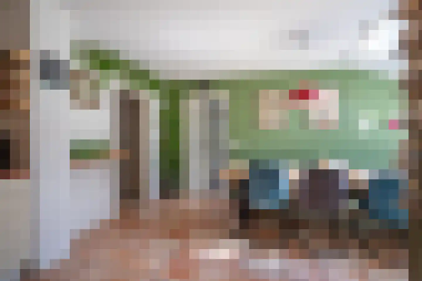Veenakkers 23 Gieterveen thumbnail 14