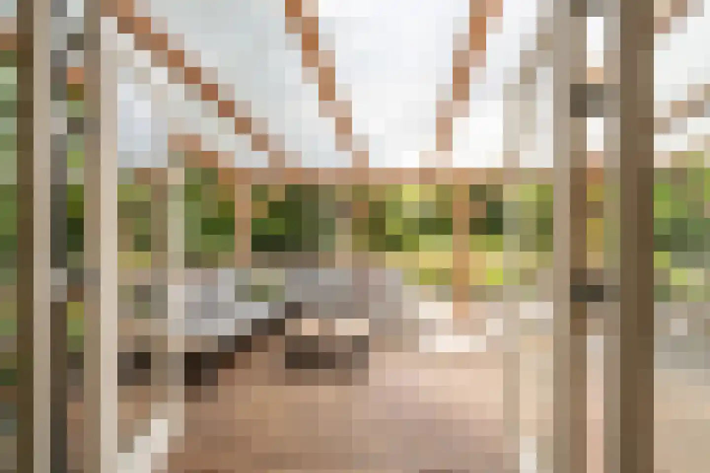 Veenakkers 23 Gieterveen thumbnail 19
