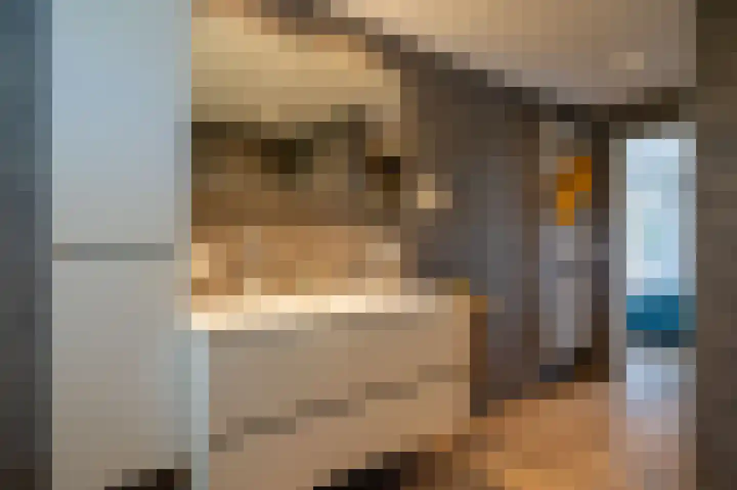 Veenakkers 23 Gieterveen thumbnail 29