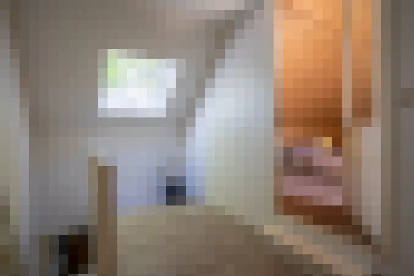 Veenakkers 23 Gieterveen thumbnail 39