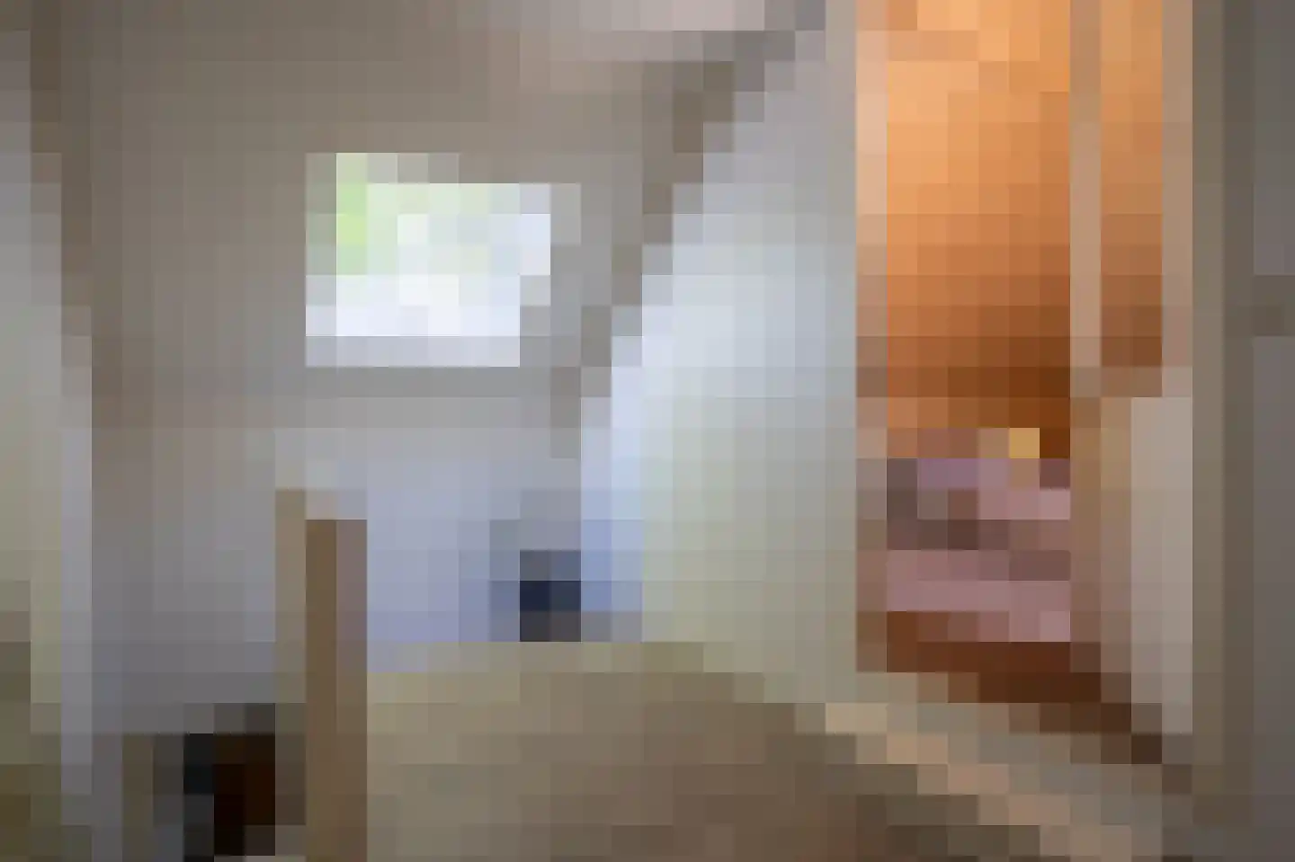 Veenakkers 23 Gieterveen thumbnail 39