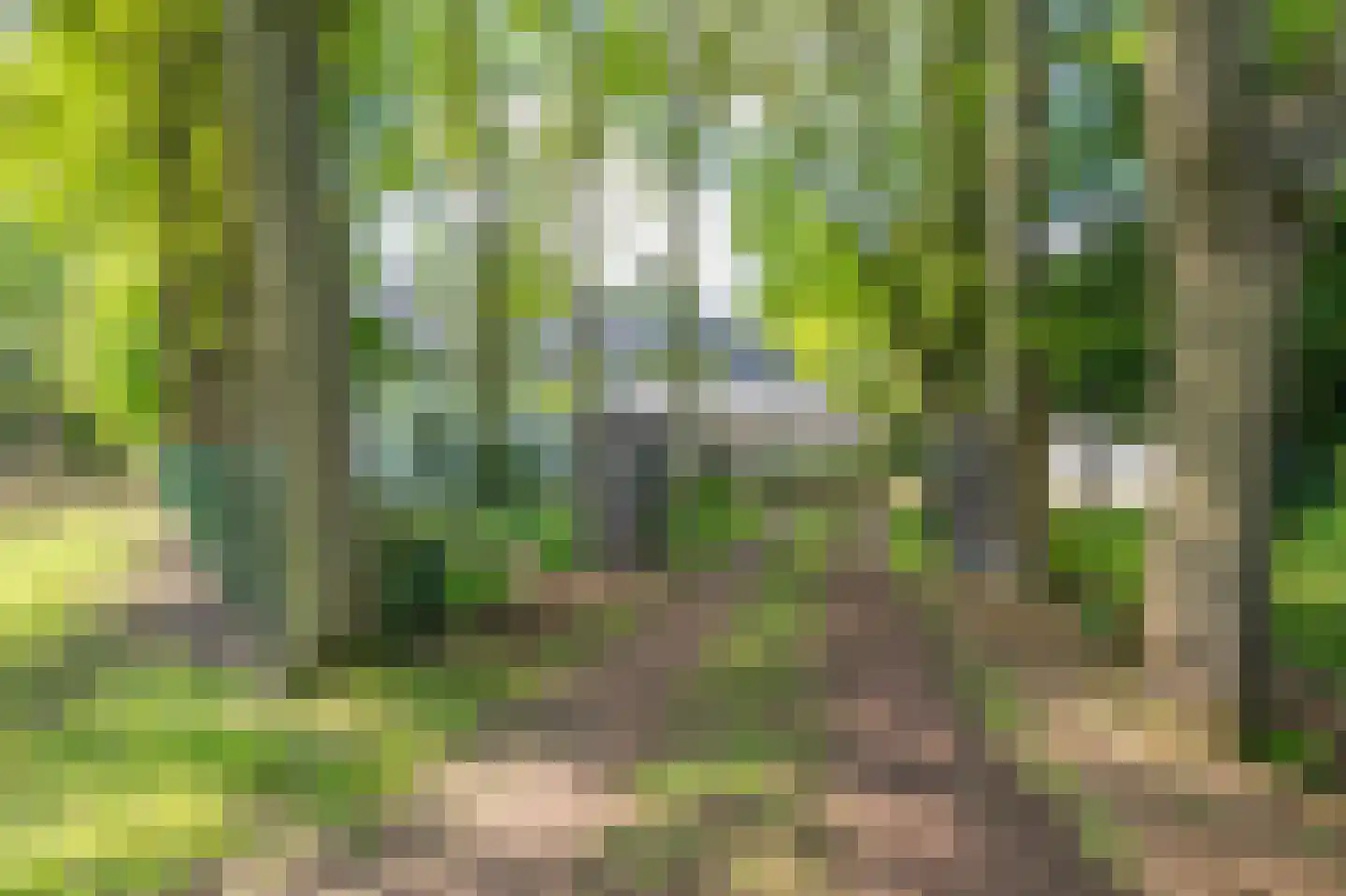 Veenakkers 23 Gieterveen thumbnail 4