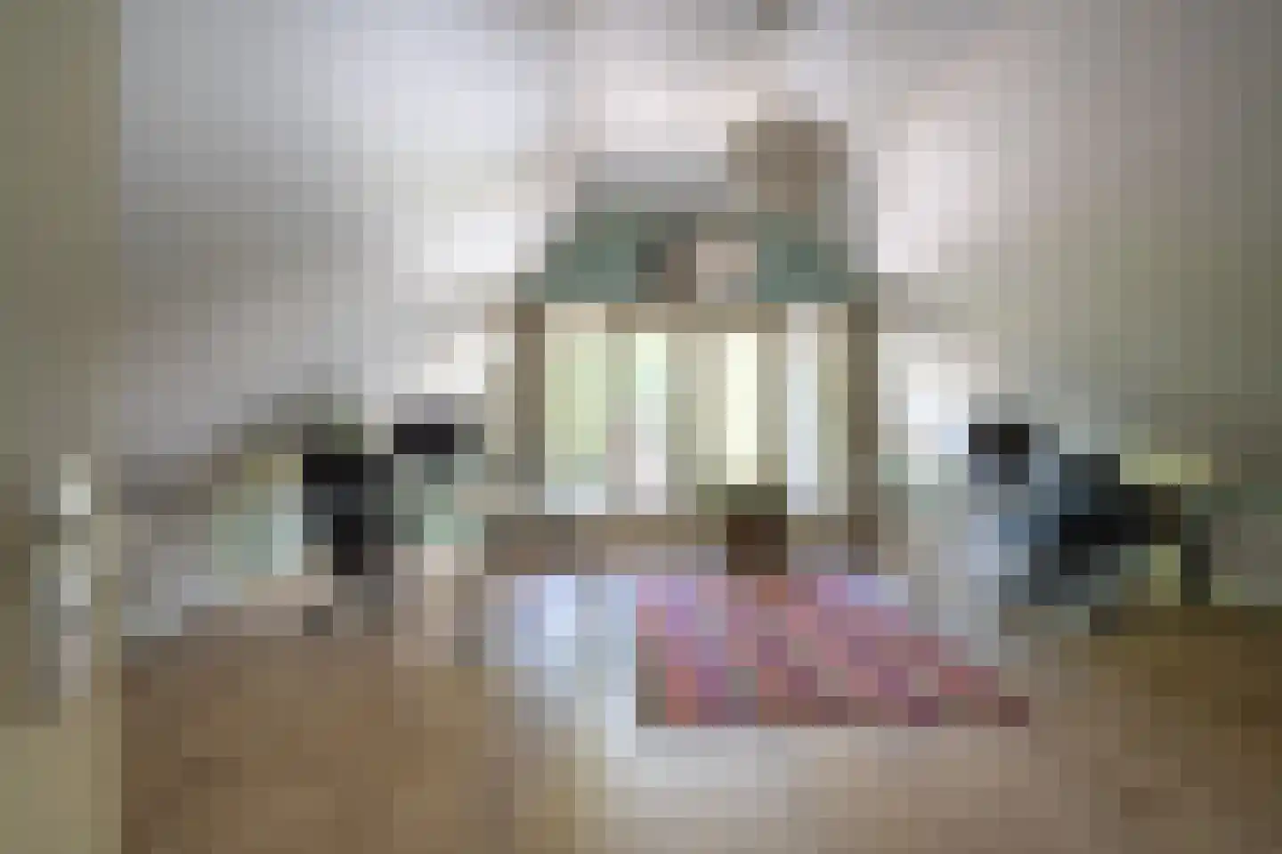 Veenakkers 23 Gieterveen thumbnail 41