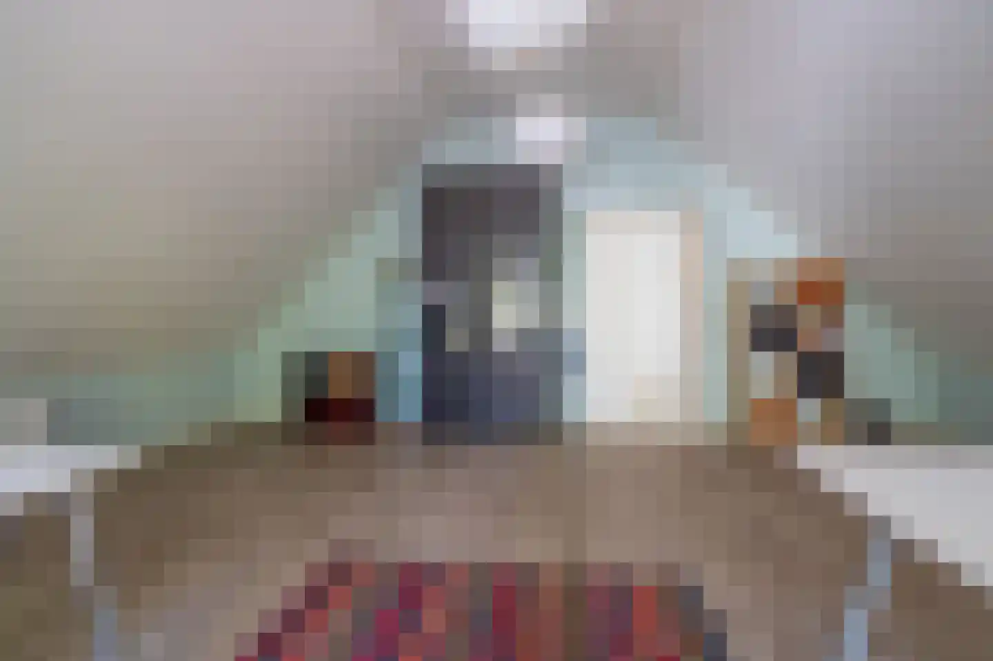 Veenakkers 23 Gieterveen thumbnail 42