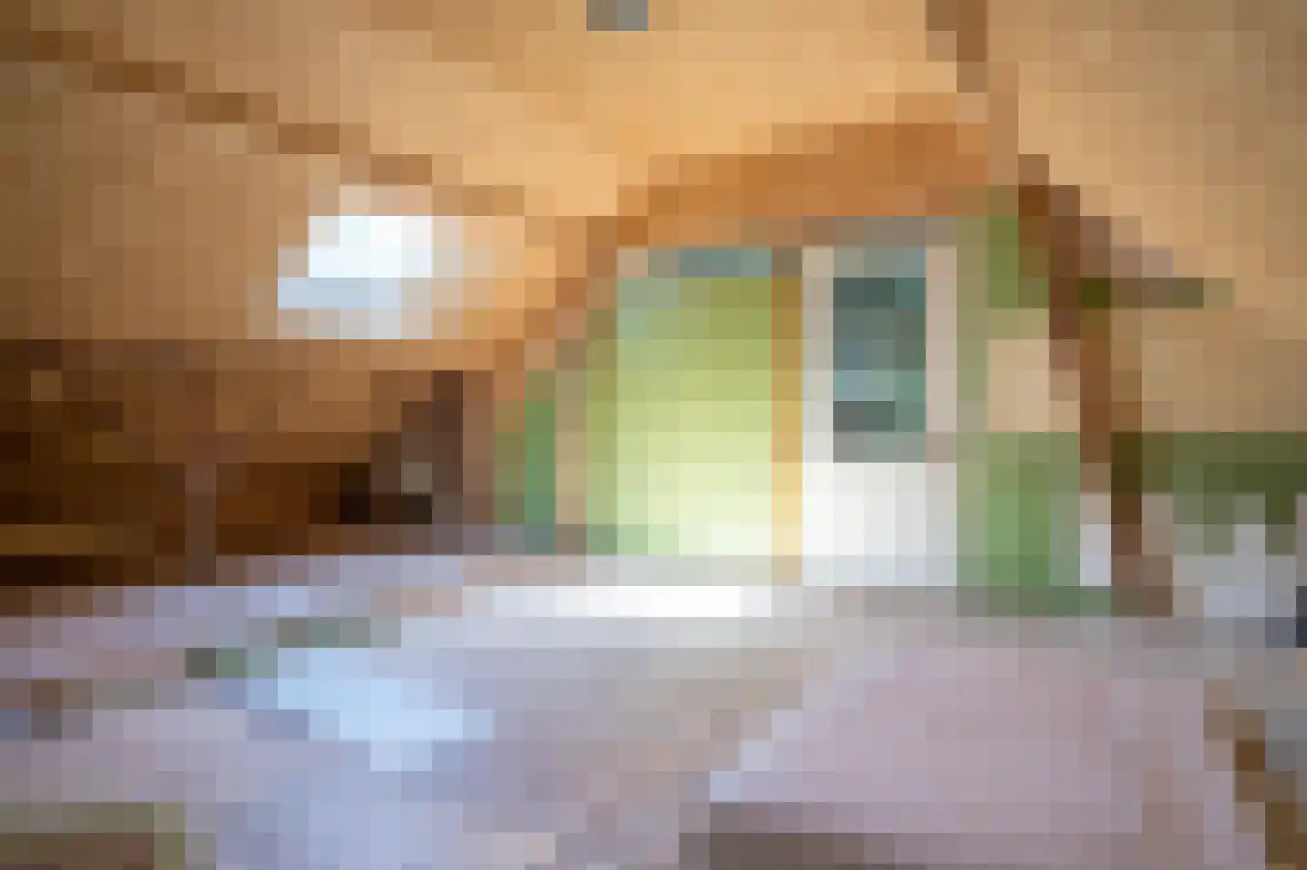 Veenakkers 23 Gieterveen thumbnail 44
