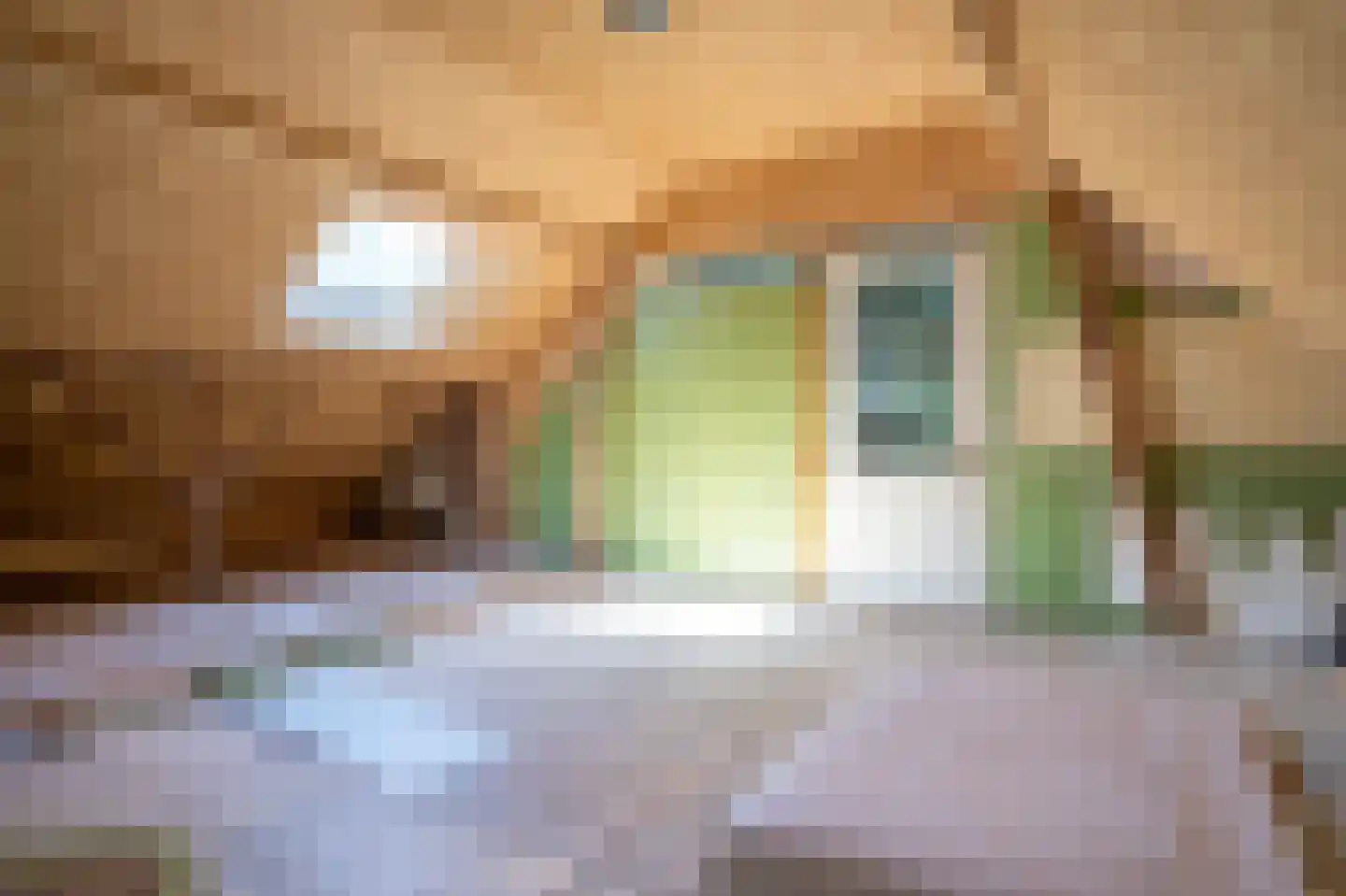 Veenakkers 23 Gieterveen thumbnail 44