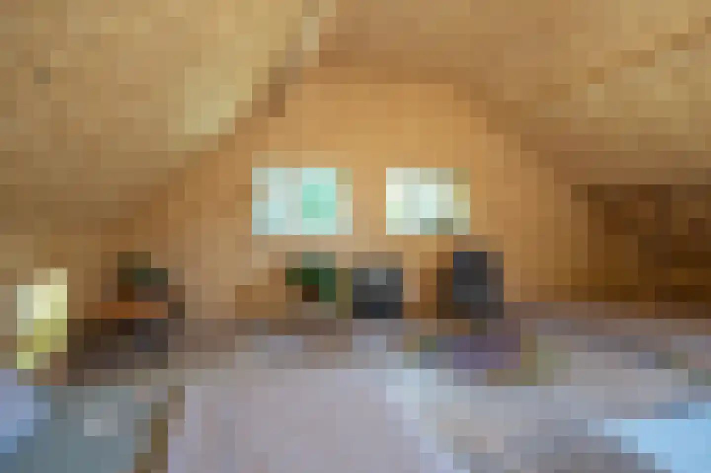 Veenakkers 23 Gieterveen thumbnail 45