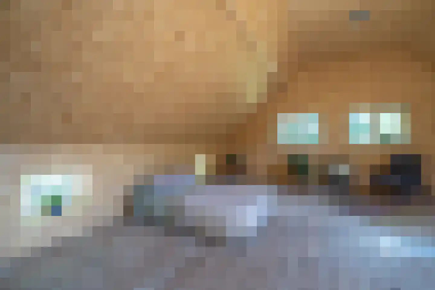 Veenakkers 23 Gieterveen thumbnail 46