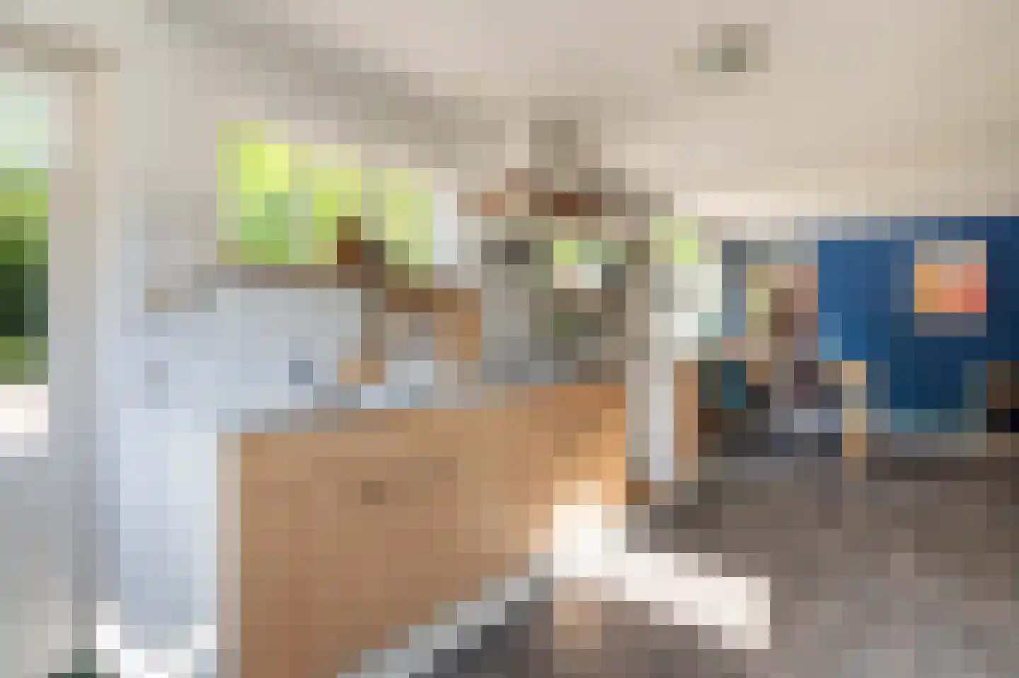Veenakkers 23 Gieterveen thumbnail 49