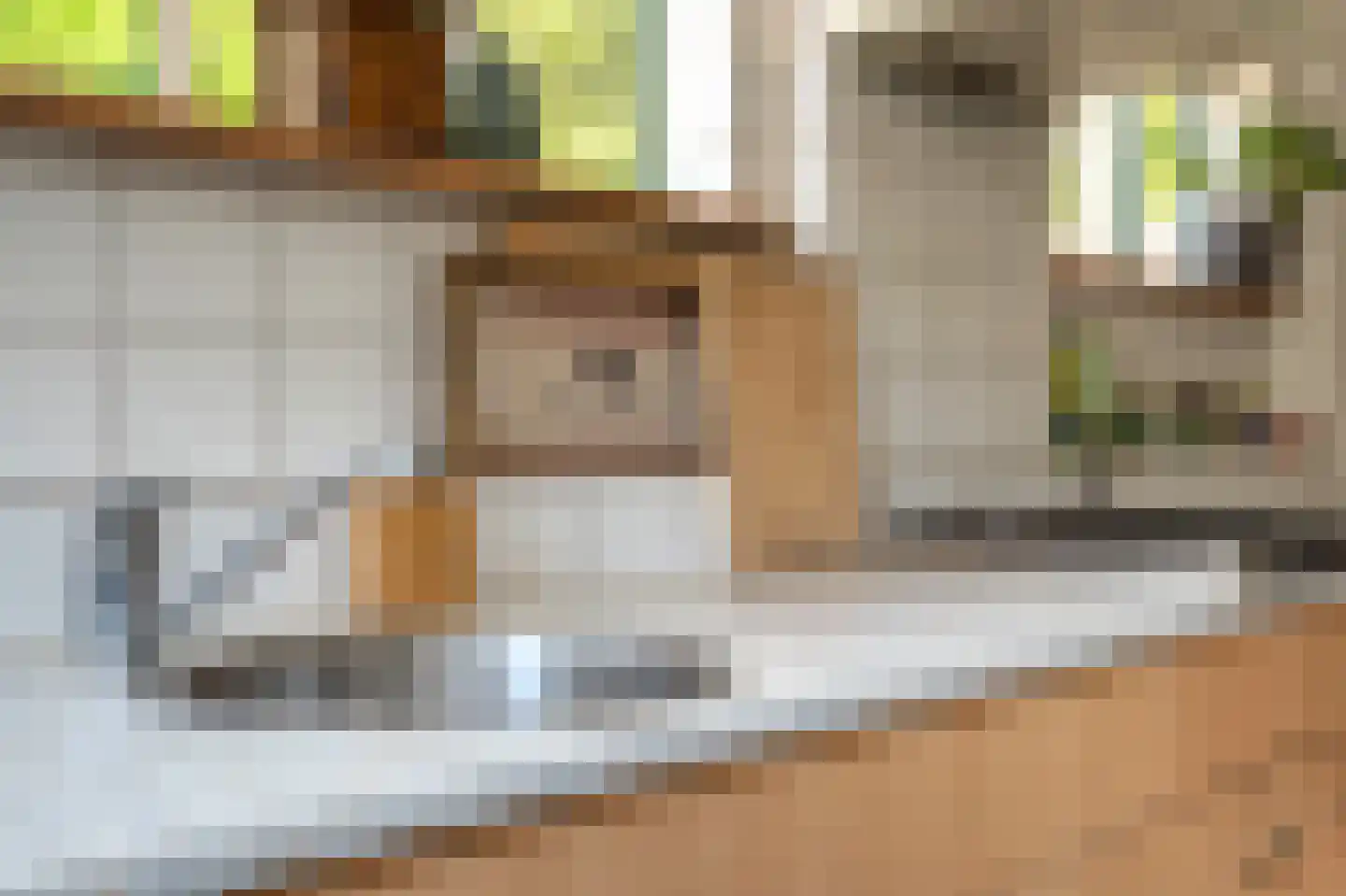 Veenakkers 23 Gieterveen thumbnail 50