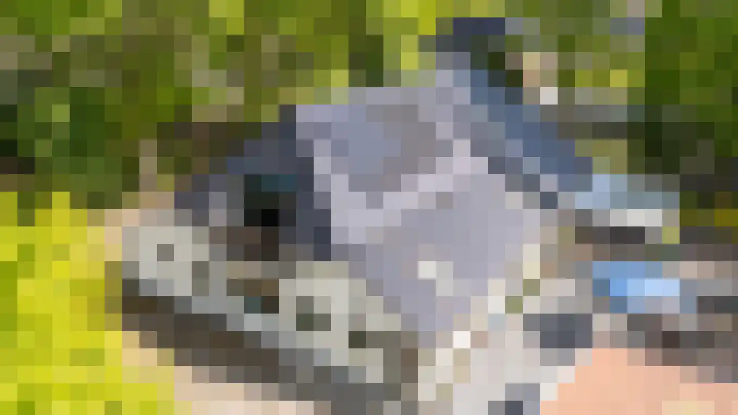Veenakkers 23 Gieterveen thumbnail 6