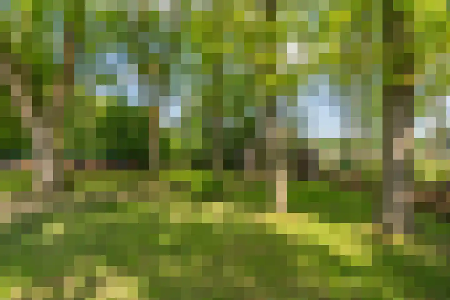 Veenakkers 23 Gieterveen thumbnail 63