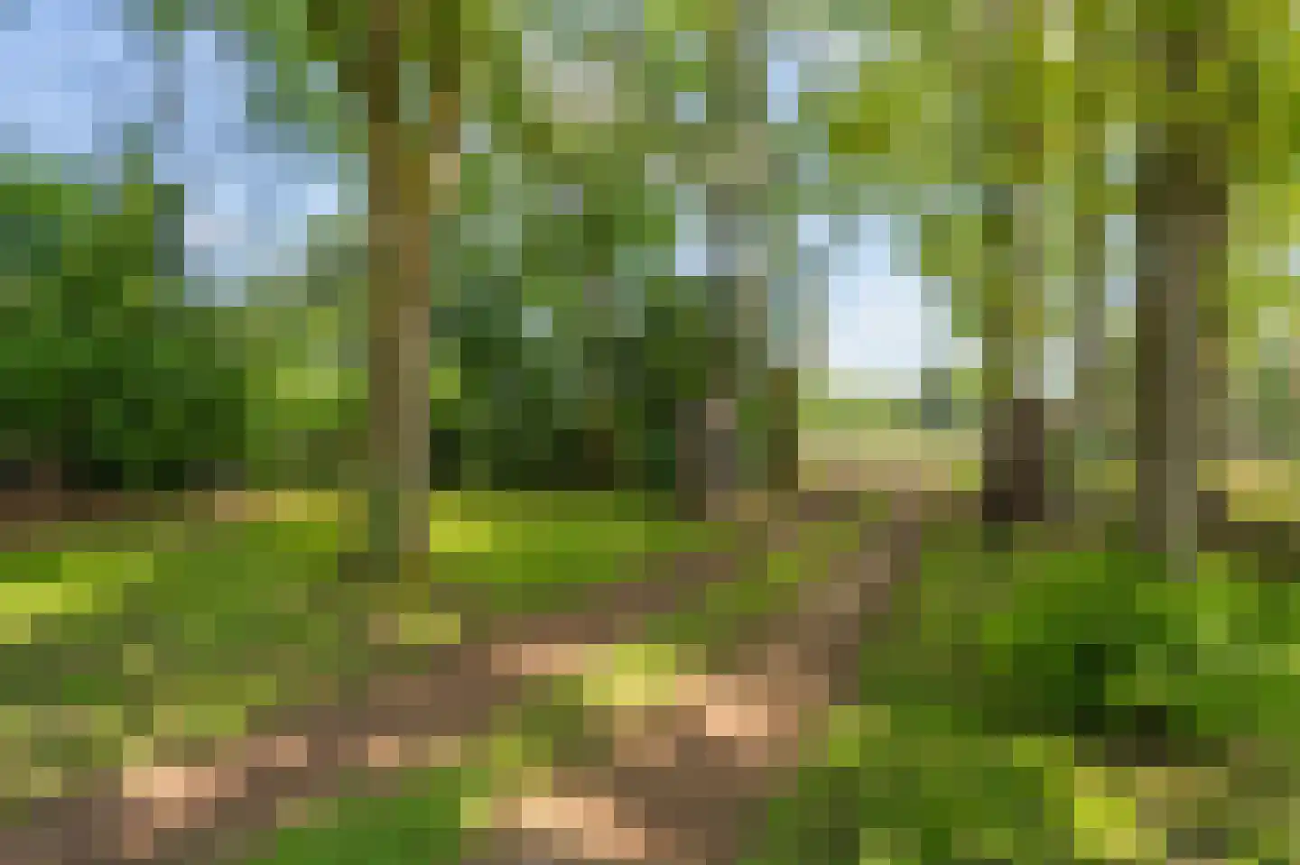 Veenakkers 23 Gieterveen thumbnail 64