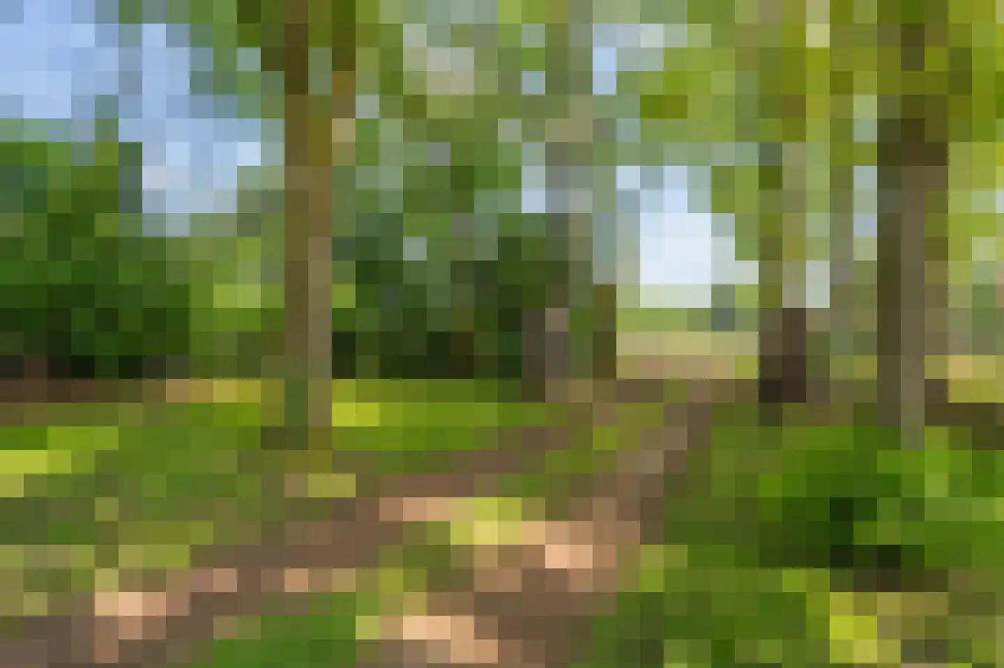 Veenakkers 23 Gieterveen thumbnail 64