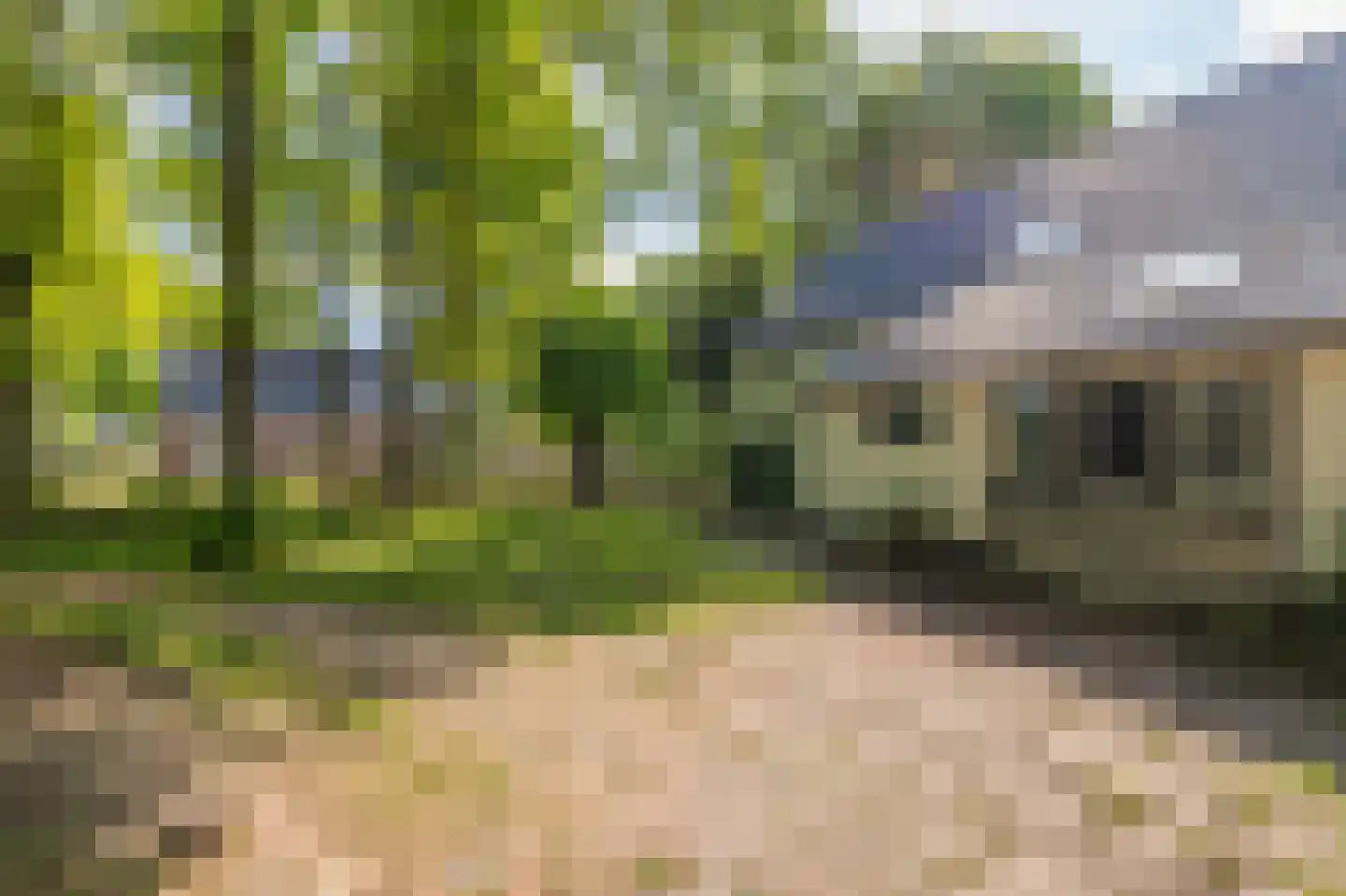 Veenakkers 23 Gieterveen thumbnail 67