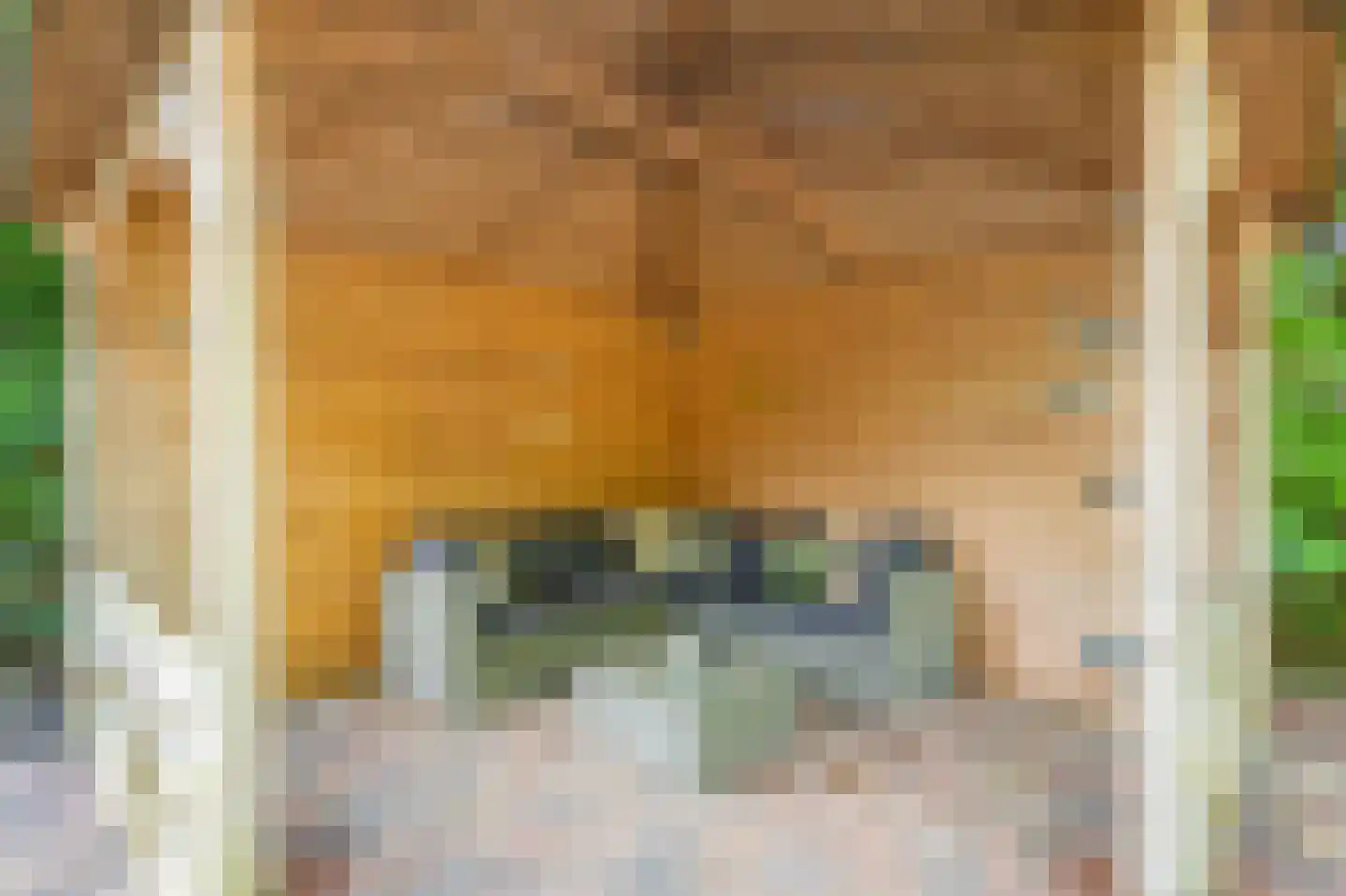 Veenakkers 23 Gieterveen thumbnail 78