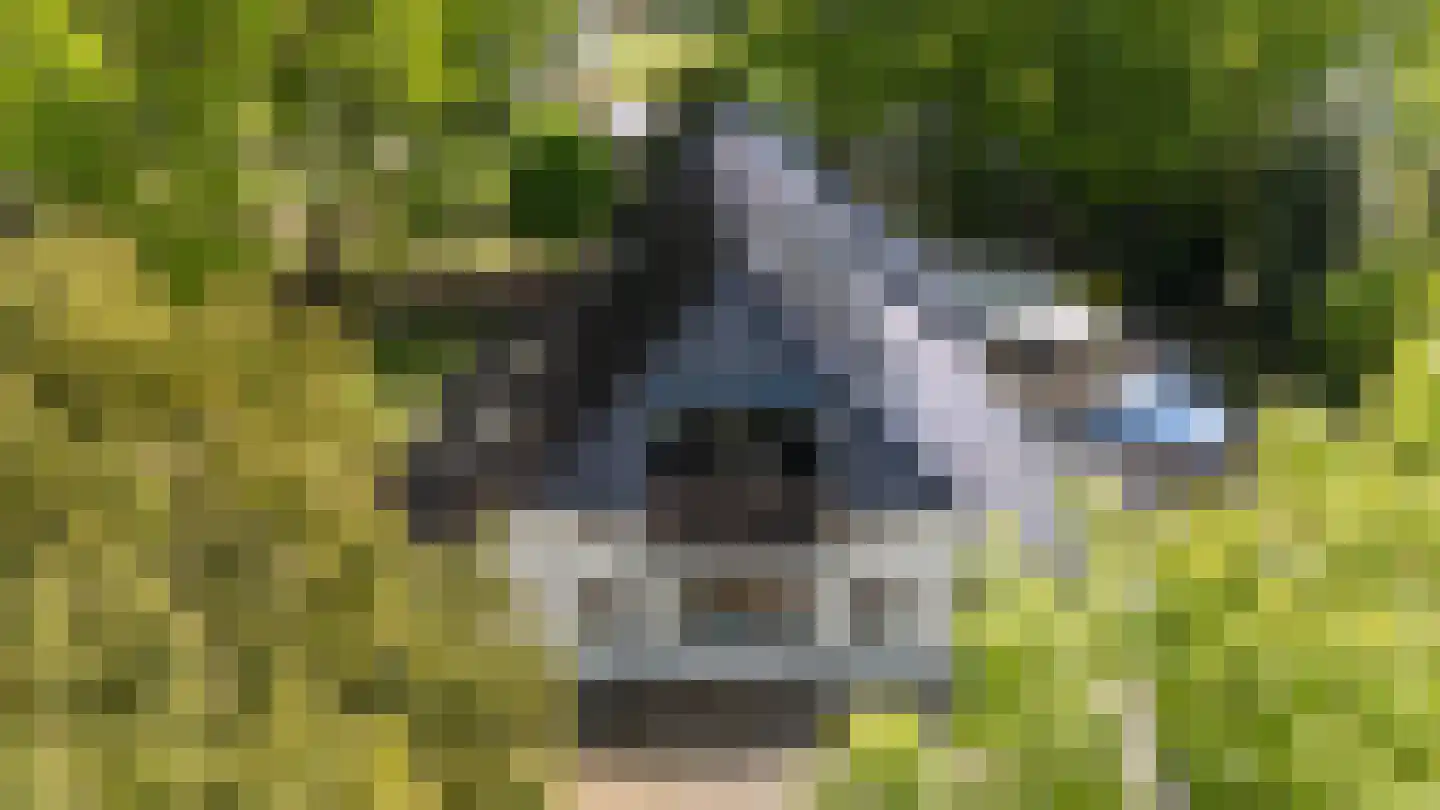 Veenakkers 23 Gieterveen thumbnail 8