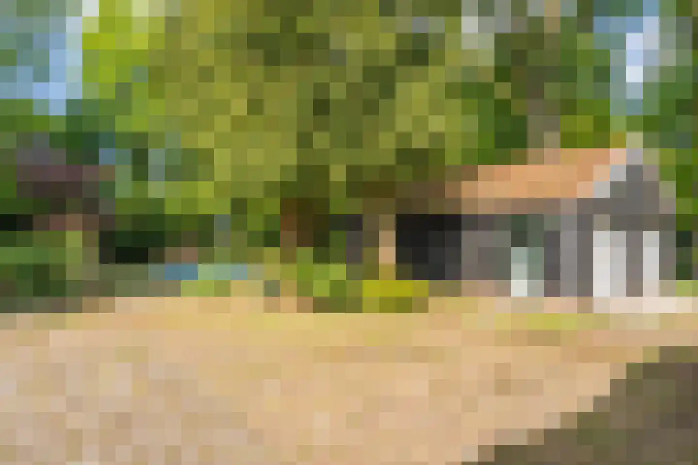 Veenakkers 23 Gieterveen thumbnail 85
