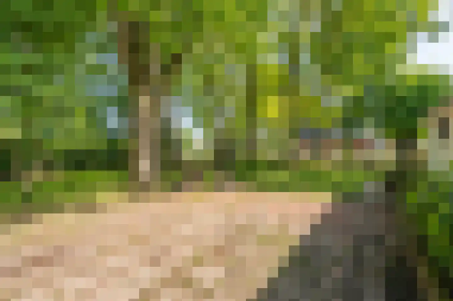 Veenakkers 23 Gieterveen thumbnail 86