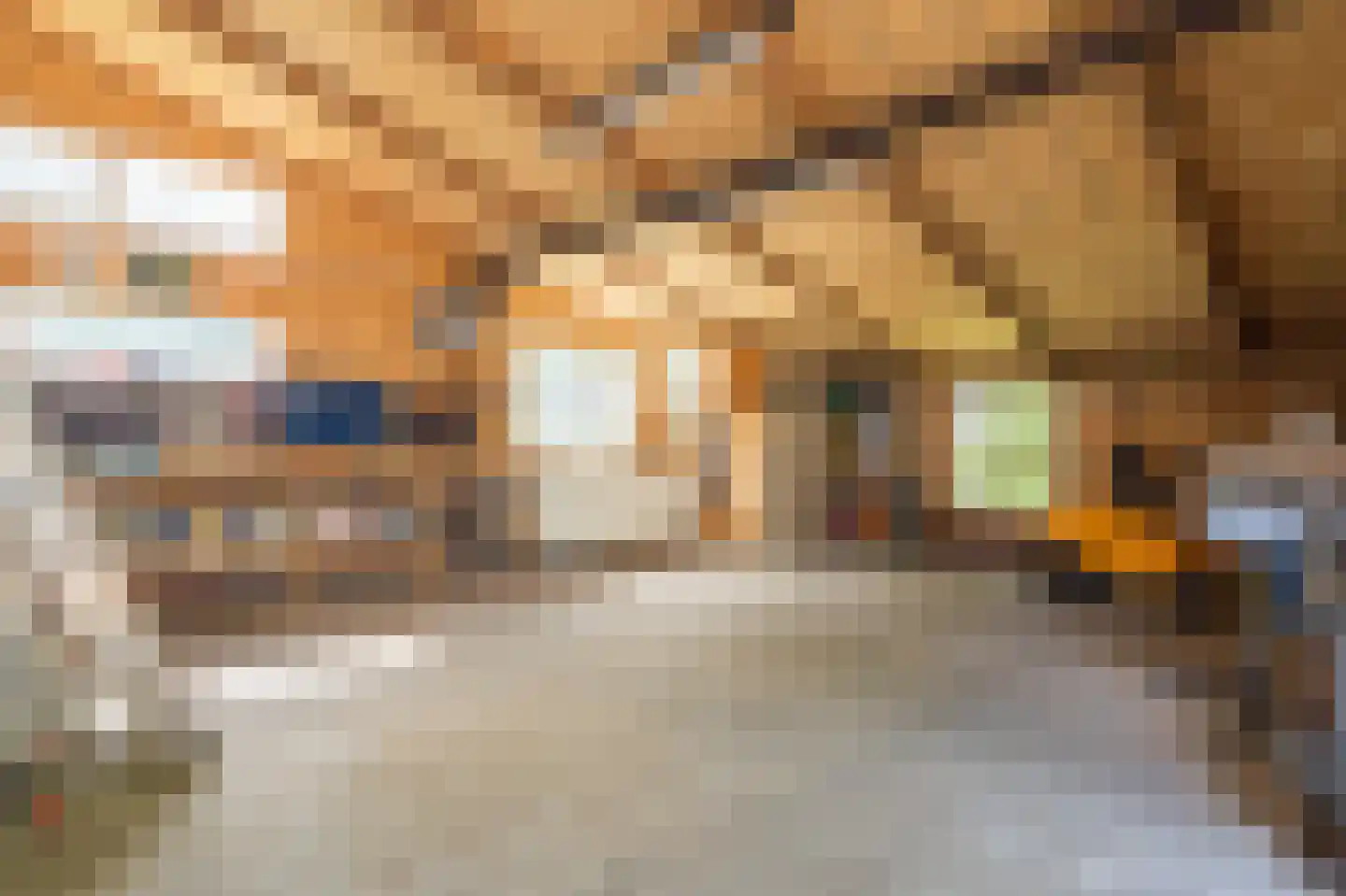 Veenakkers 23 Gieterveen thumbnail 90