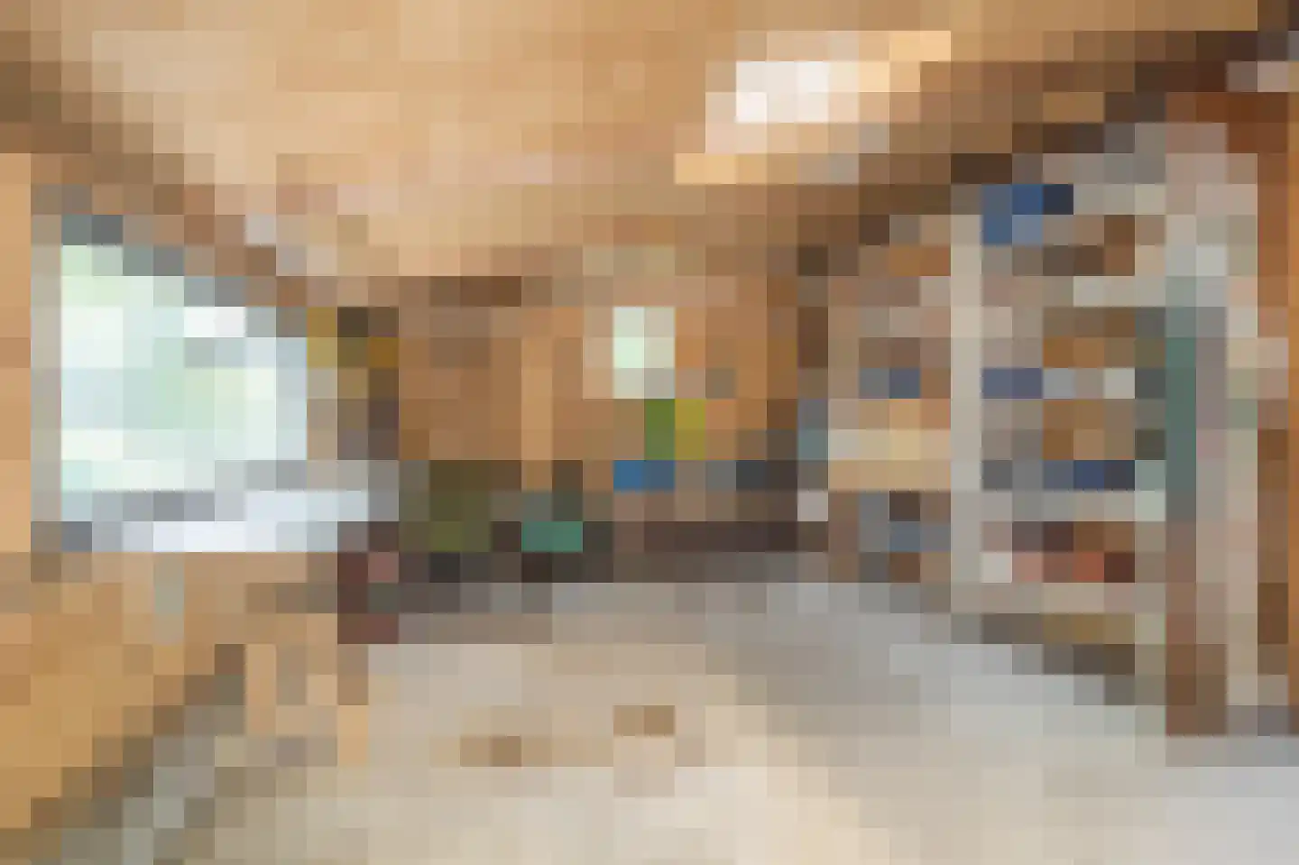 Veenakkers 23 Gieterveen thumbnail 91