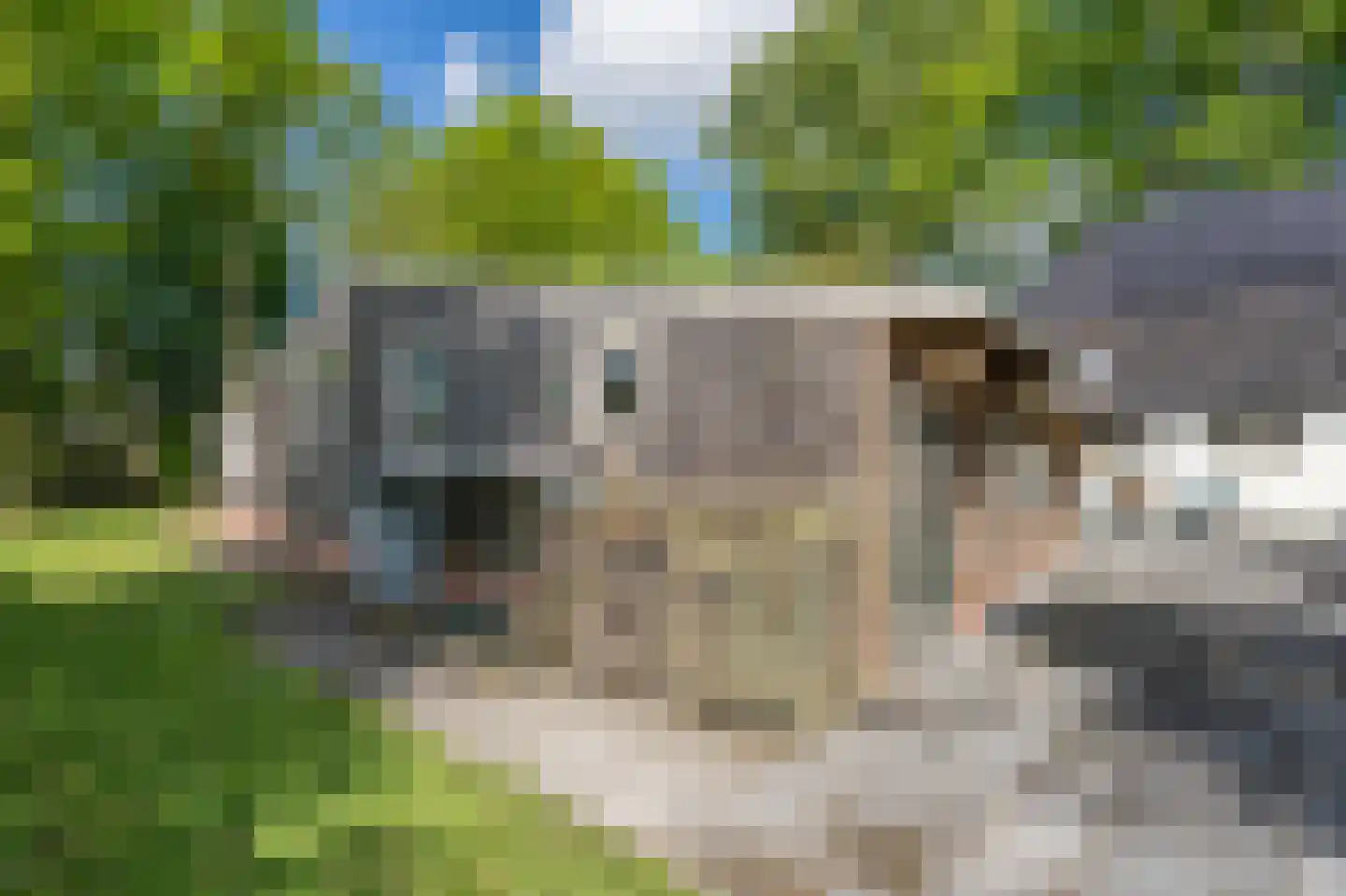 Veenakkers 23 Gieterveen thumbnail 93