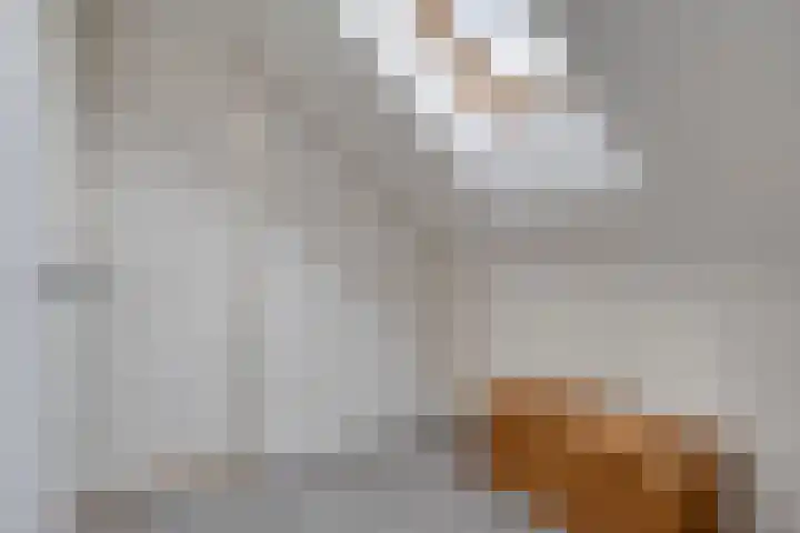 Veenakkers 3 Gieterveen thumbnail 24