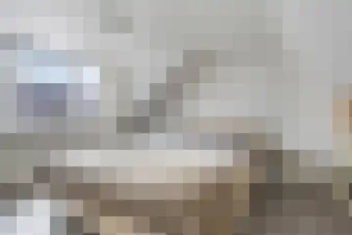 Veenakkers 3 Gieterveen thumbnail 25