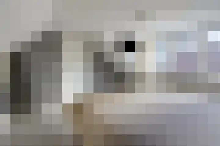 Veenakkers 3 Gieterveen thumbnail 26