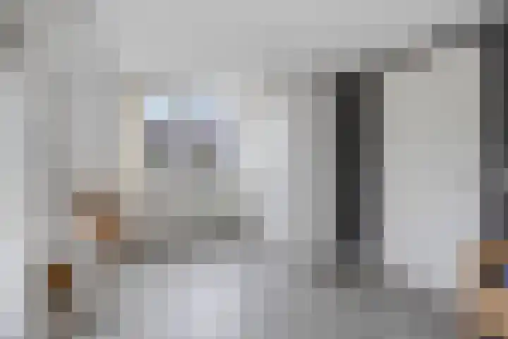 Veenakkers 3 Gieterveen thumbnail 28