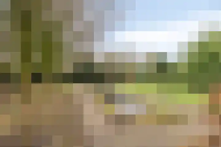 Veenakkers 3 Gieterveen thumbnail 31