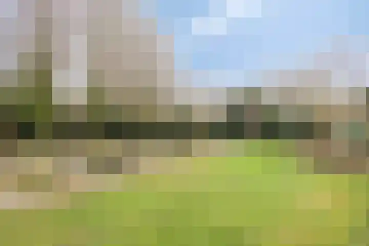 Veenakkers 3 Gieterveen thumbnail 32