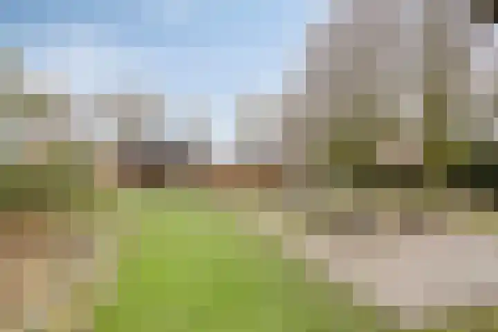 Veenakkers 3 Gieterveen thumbnail 33