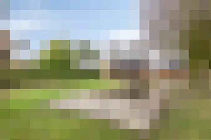 Veenakkers 3 Gieterveen thumbnail 34
