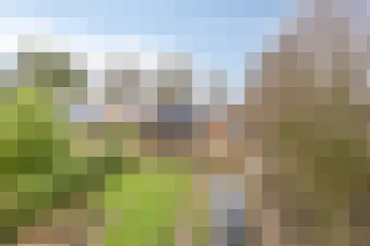 Veenakkers 3 Gieterveen thumbnail 35