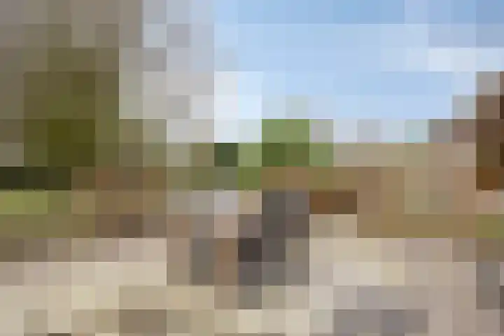 Veenakkers 3 Gieterveen thumbnail 36