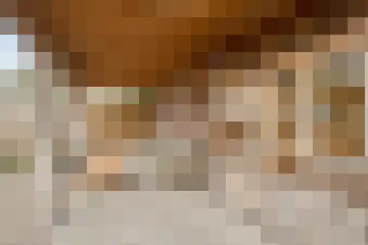 Veenakkers 3 Gieterveen thumbnail 38