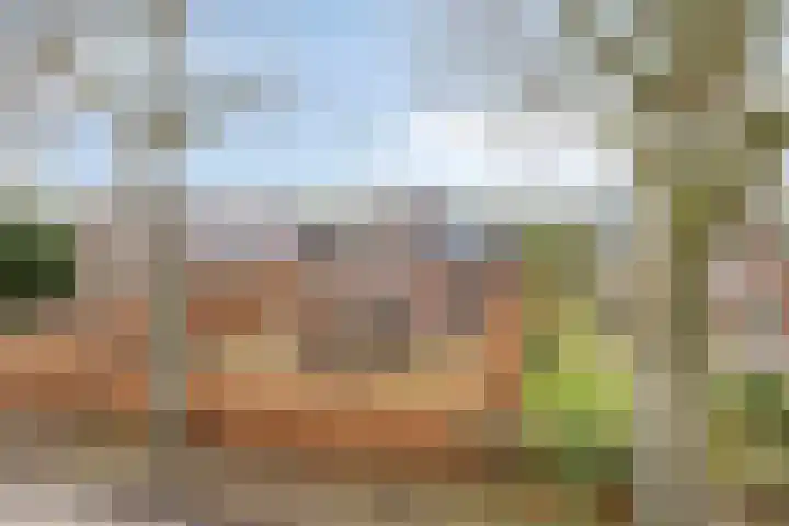 Veenakkers 3 Gieterveen thumbnail 44