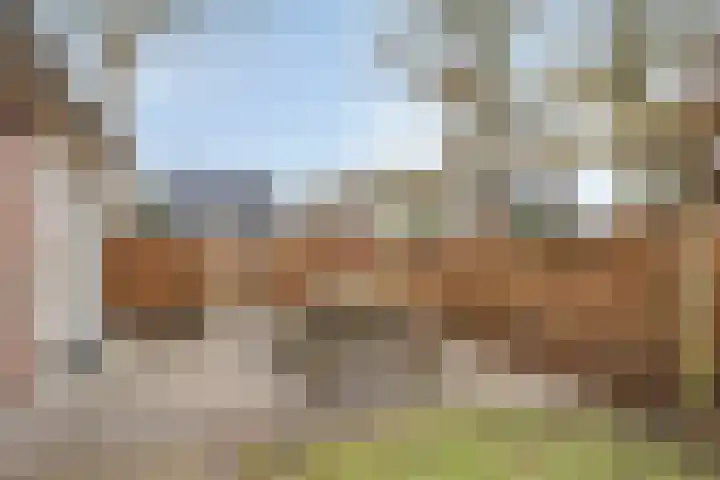 Veenakkers 3 Gieterveen thumbnail 49