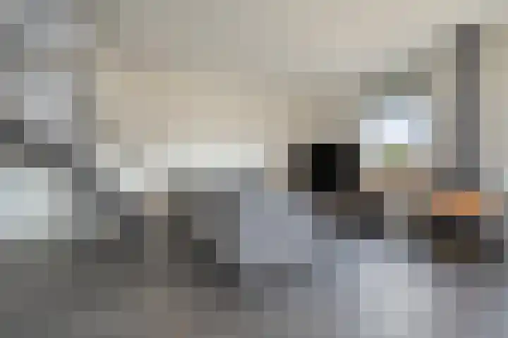 Veenakkers 3 Gieterveen thumbnail 7