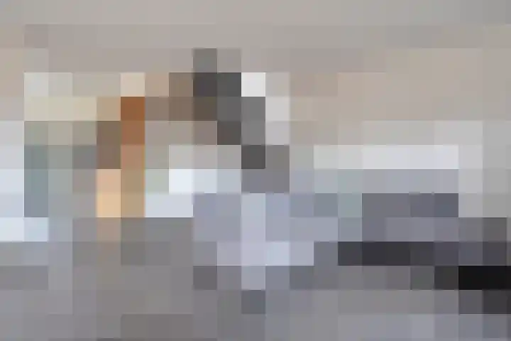 Veenakkers 3 Gieterveen thumbnail 9