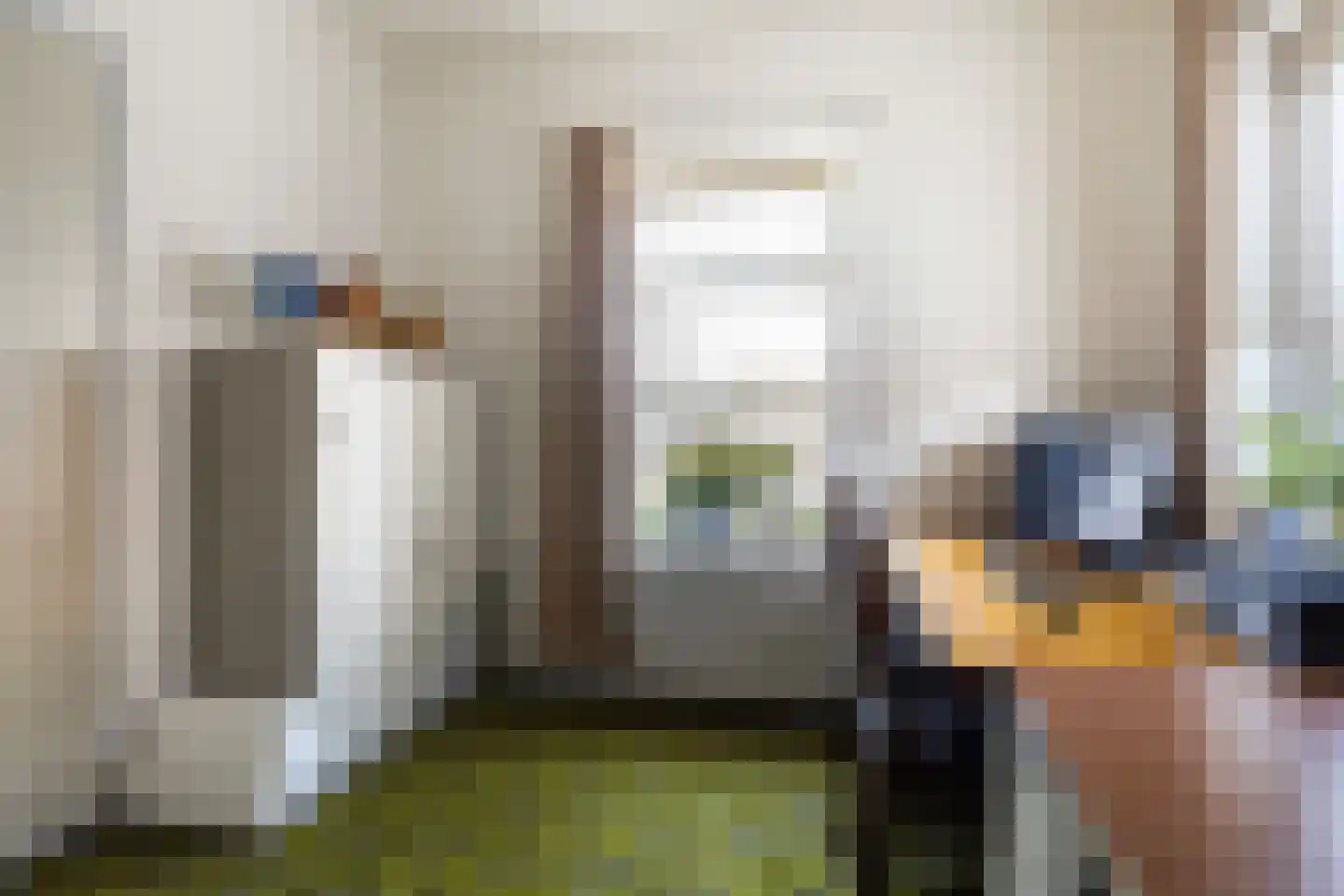 Veenakkers 44 Gieterveen thumbnail 11