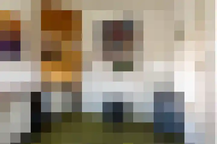 Veenakkers 44 Gieterveen thumbnail 12