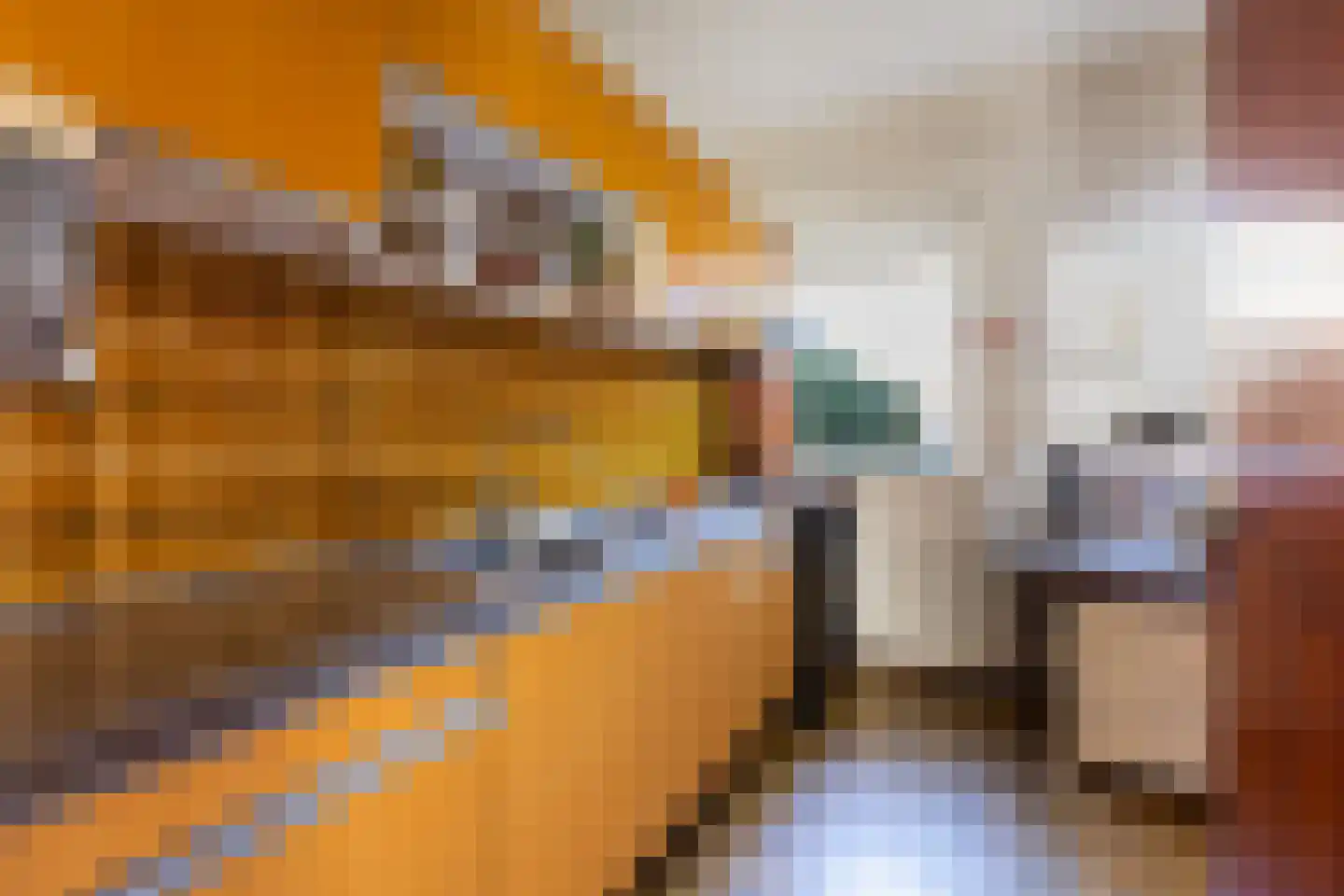 Veenakkers 44 Gieterveen thumbnail 14