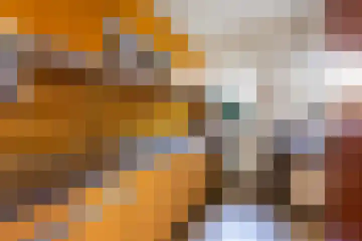 Veenakkers 44 Gieterveen thumbnail 14