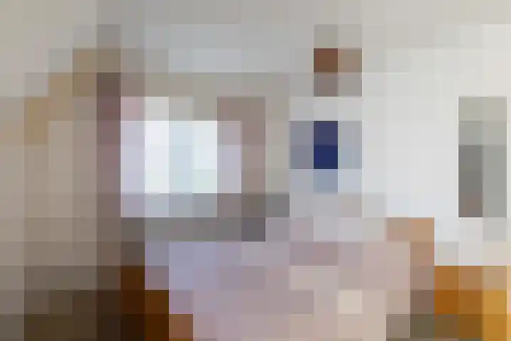 Veenakkers 44 Gieterveen thumbnail 19