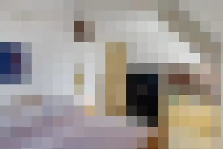 Veenakkers 44 Gieterveen thumbnail 20